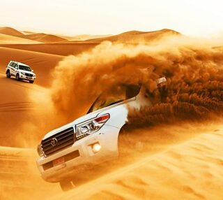 Dubai Desert Safari Standard on Sharing Basis