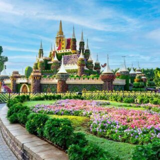 Miracle Garden Entry Ticket with Pick up and Drop Off