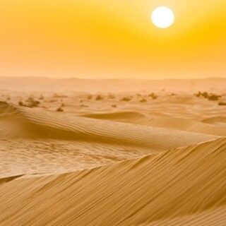 Private Morning Desert Safari Dubai