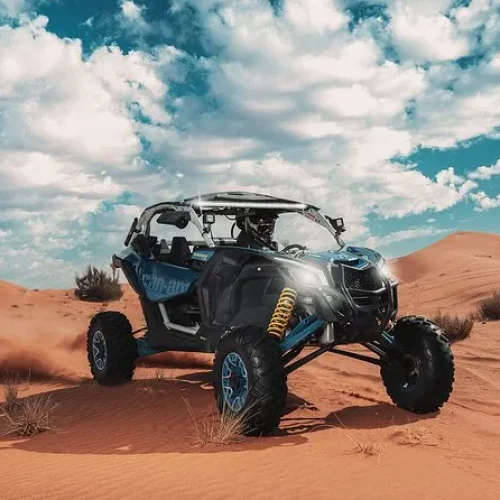 canam-dune-buggy.webp