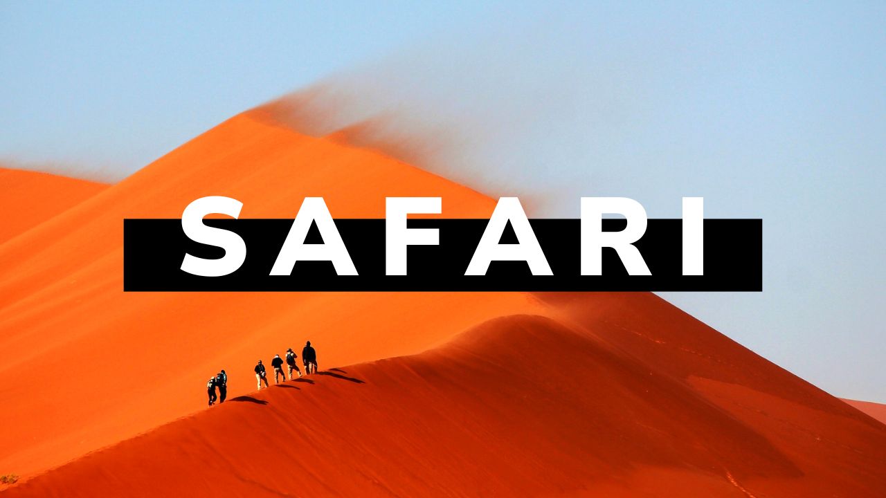 VIP Desert Safari
