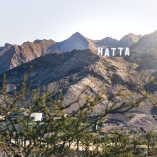 East Coast Fujairah and Khorfakkan Tour