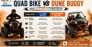 Quad Bike vs Dune Buggy
