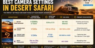 Configuring the best camera settings in desert safari tours to freeze high-speed dune bashing action shots with HFT Tourism LLC.