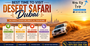 Best Time to Visit"in desert safari
