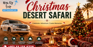 Christmas Desert Safari