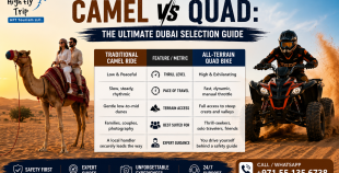 Camel Ride vs Quad Bike in desert safari