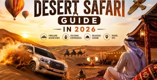 Desert Safari Guide - HFT Tourism LLC